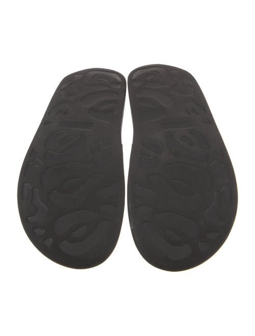Alexander McQueen Rubber Graphic Print Slides
