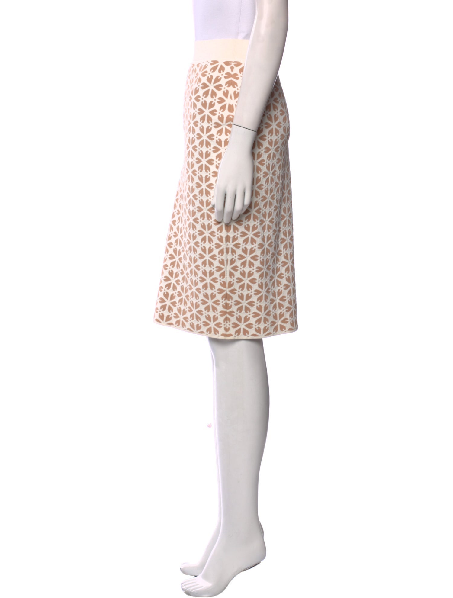 Alexander McQueen Printed Knee-Length Skirt