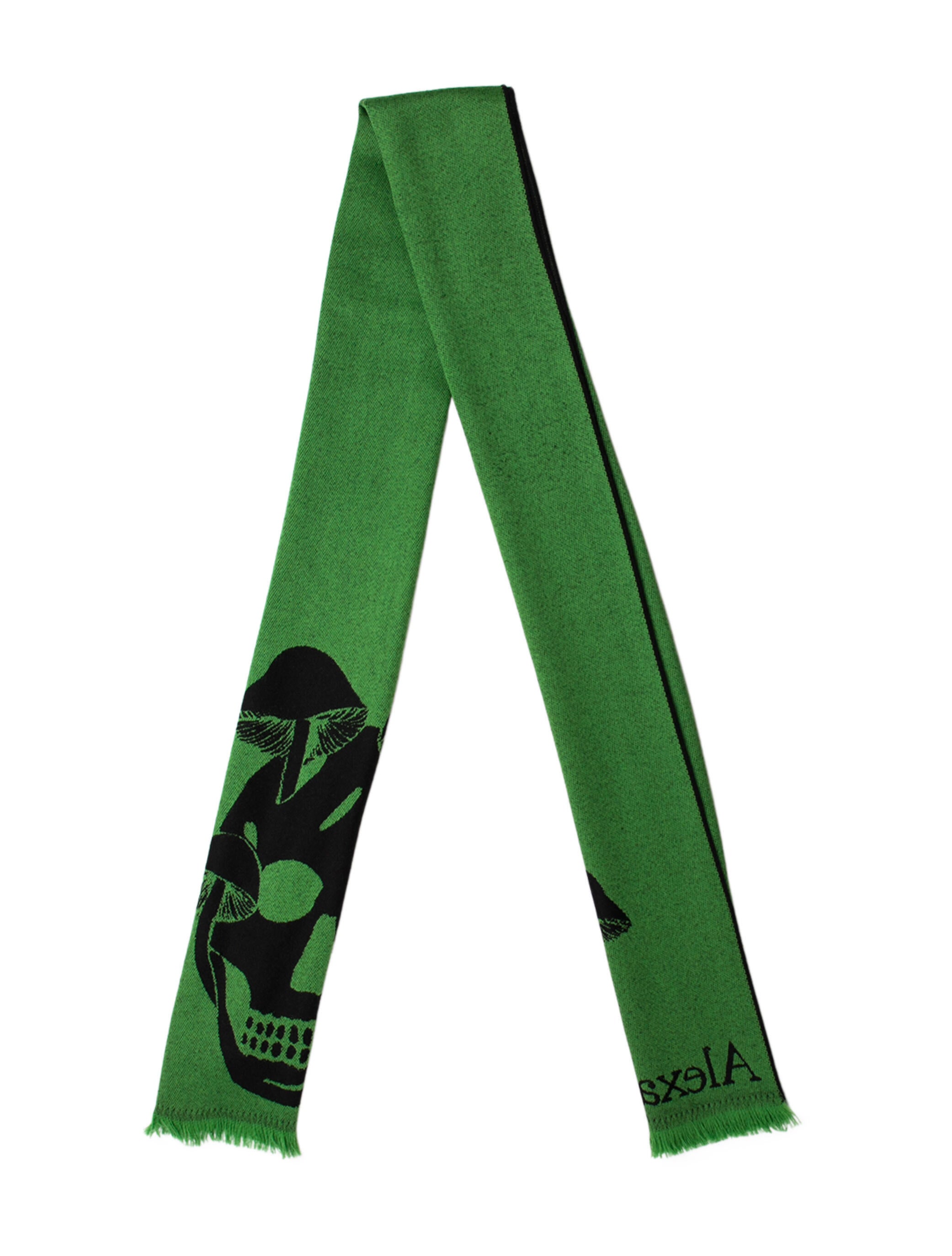 Alexander McQueen Wool Printed Scarf