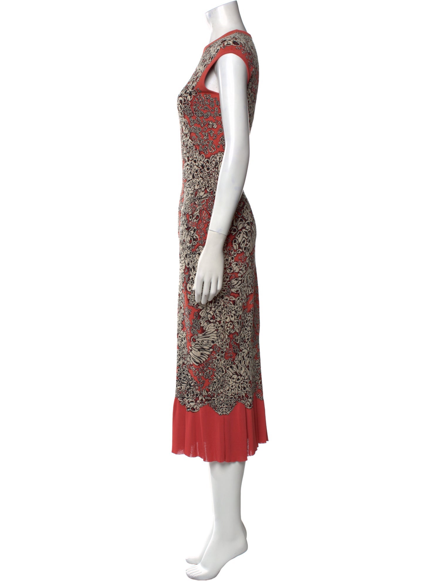 Alexander McQueen Printed Long Dress