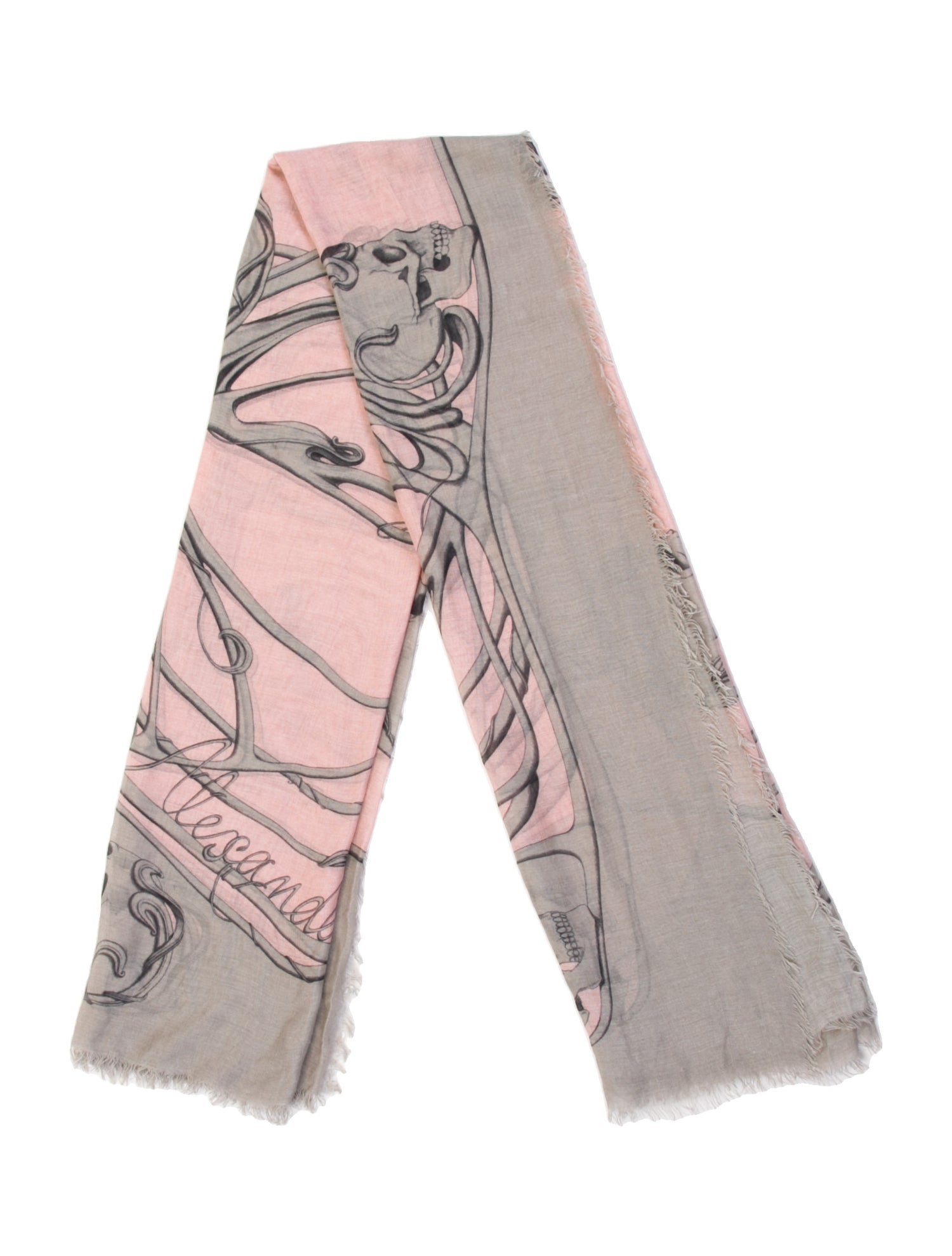 Alexander McQueen Printed Scarf