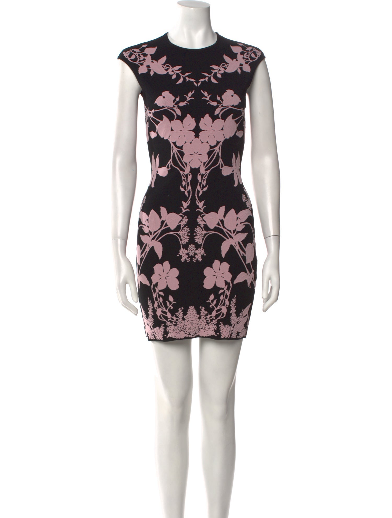 Alexander McQueen Floral Print Mini Dress