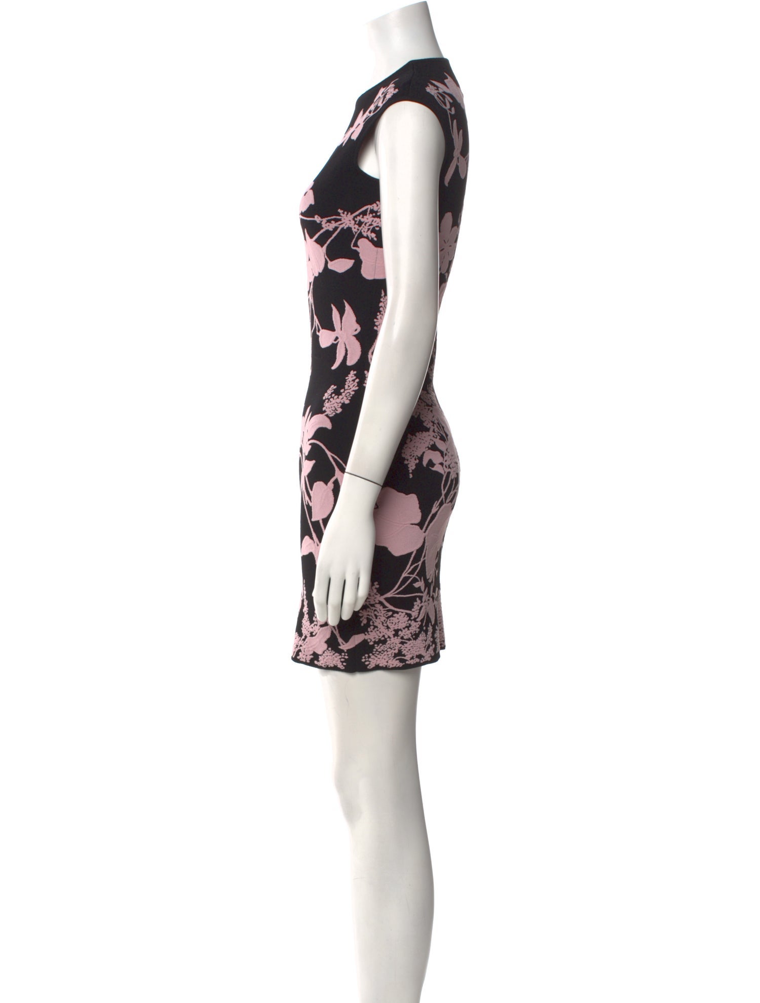 Alexander McQueen Floral Print Mini Dress