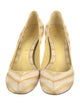 Alexander McQueen Canvas Striped Pumps