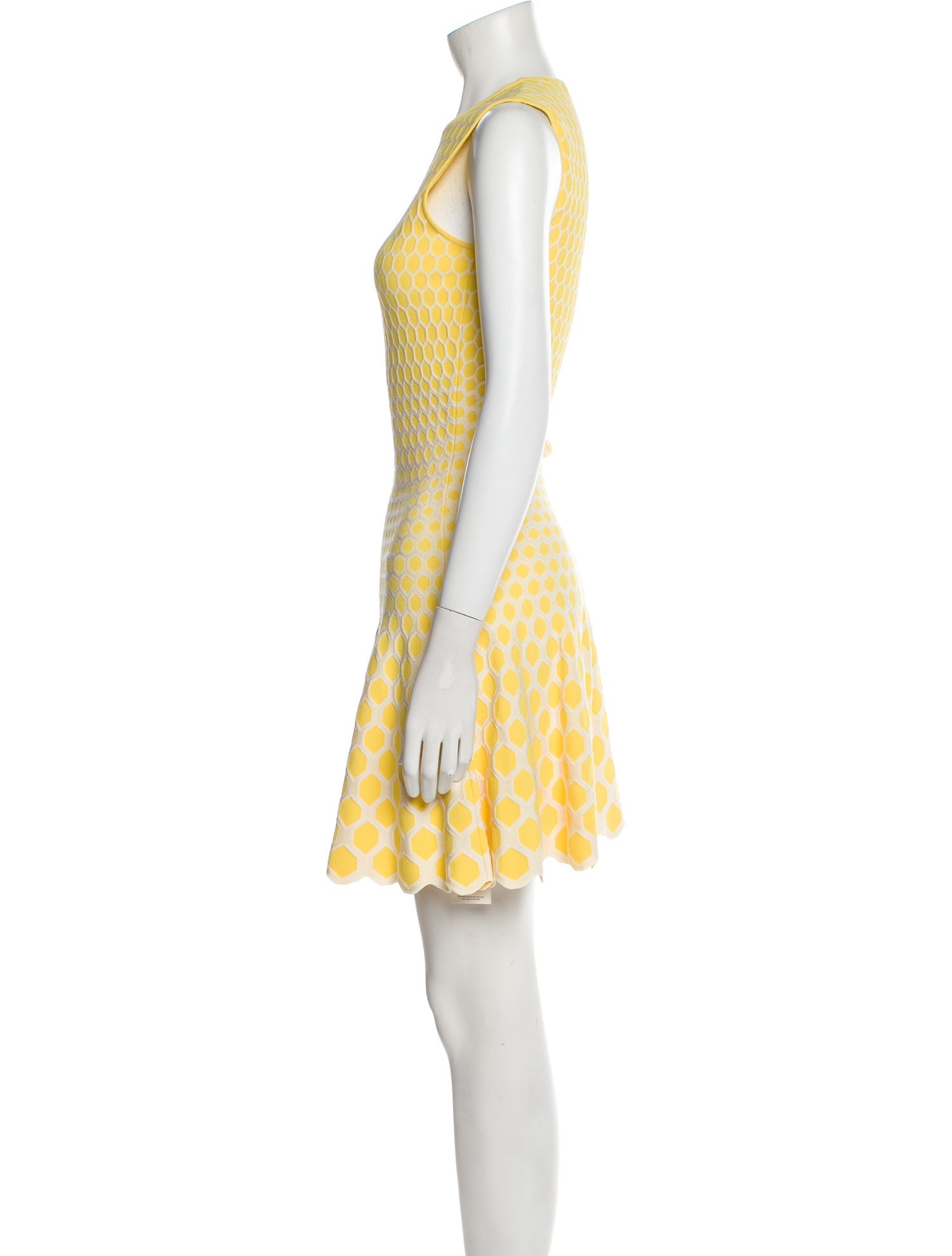 Alexander McQueen Crew Neck Mini Dress