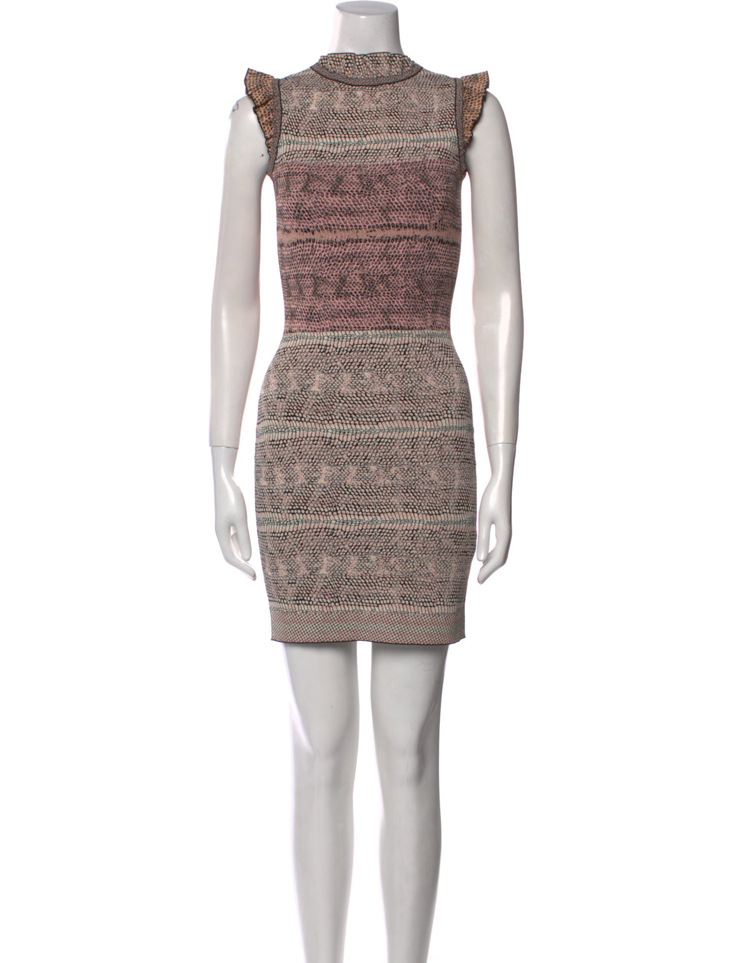 Alexander McQueen Printed Mini Dress