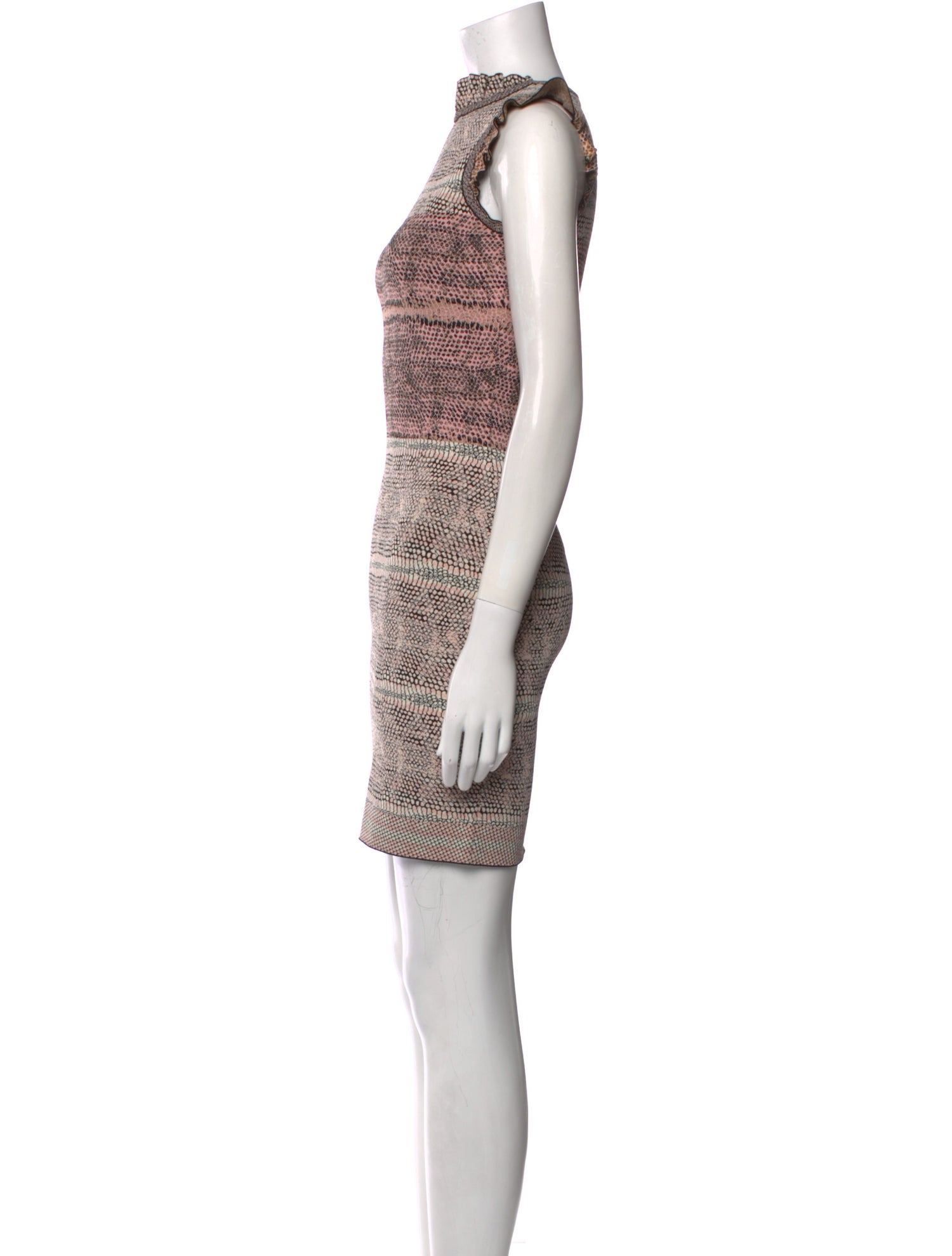 Alexander McQueen Printed Mini Dress