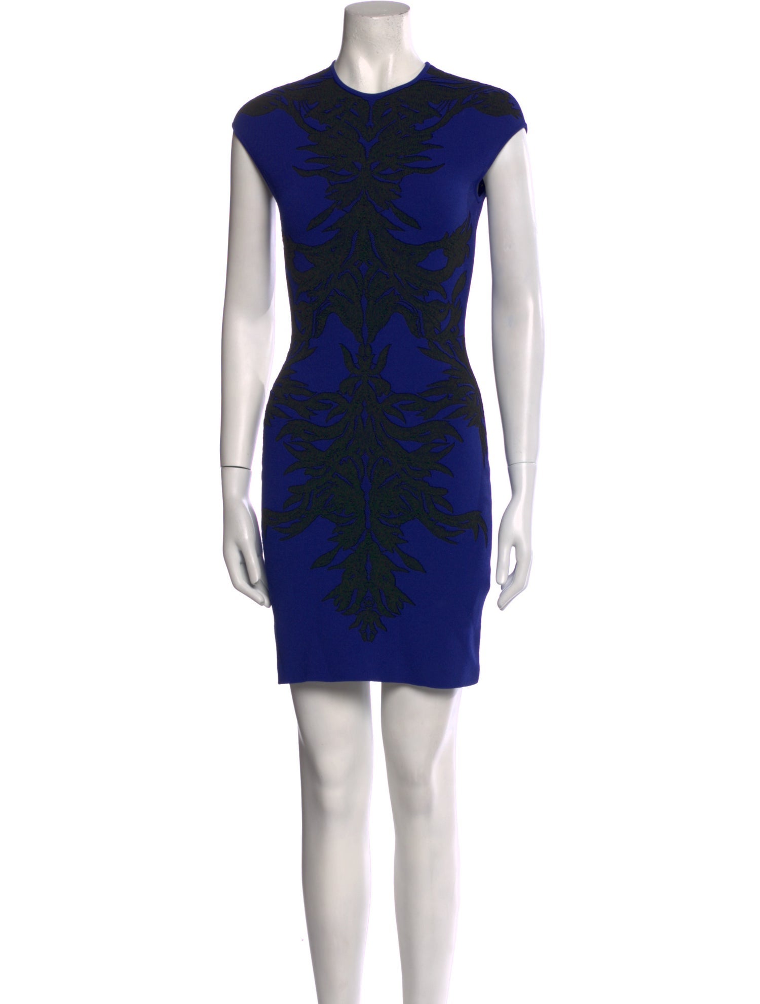 Alexander McQueen Printed Mini Dress