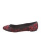 Alexander McQueen Leather Printed Ballet Flats
