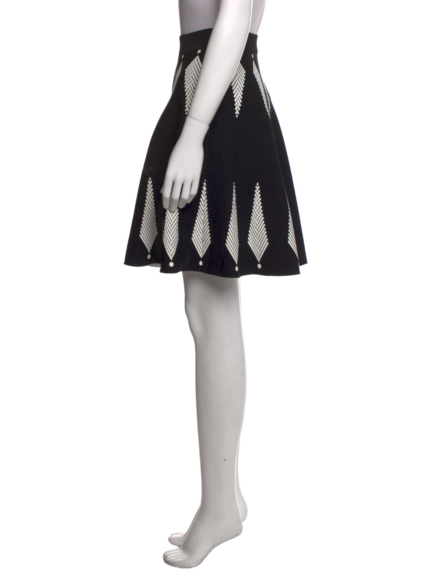 Alexander McQueen Printed Knee-Length Skirt