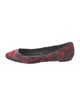 Alexander McQueen Leather Patterned Ballet Flats
