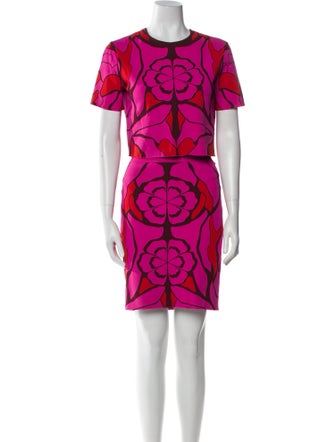 Alexander McQueen Printed Skirt Set