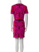 Alexander McQueen Printed Skirt Set