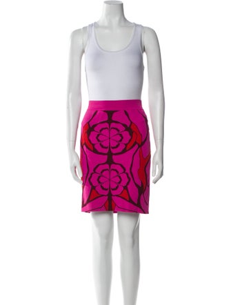 Alexander McQueen Printed Skirt Set