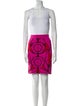 Alexander McQueen Printed Skirt Set