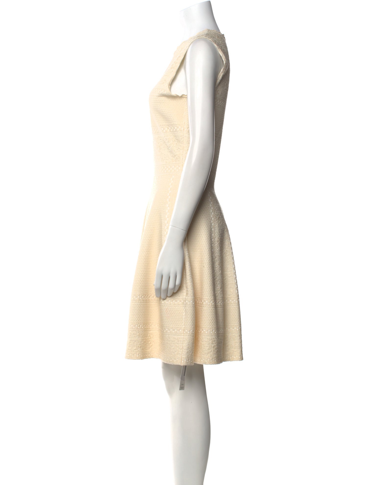 Alexander McQueen Crew Neck Mini Dress