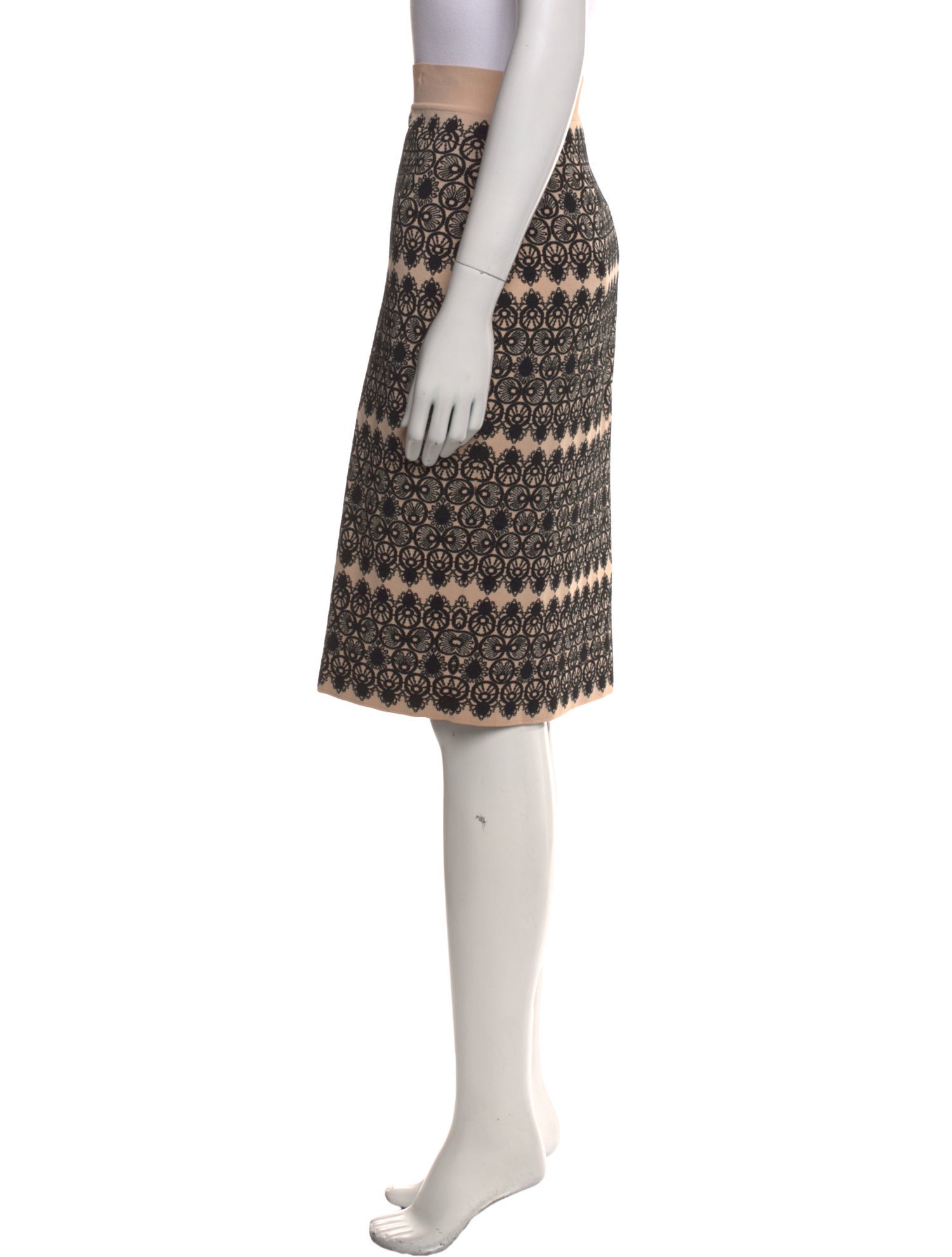 Alexander McQueen Printed Knee-Length Skirt