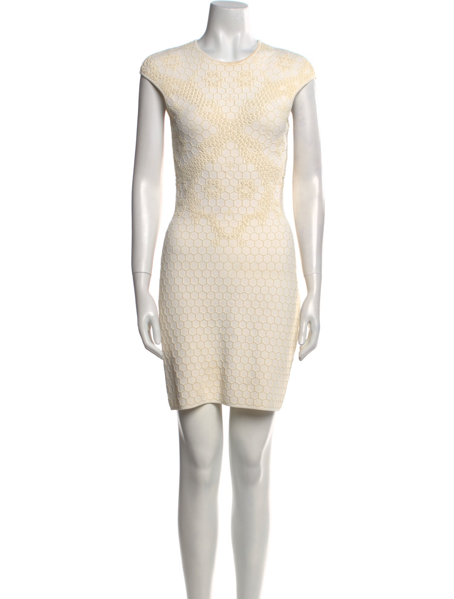 Alexander McQueen Crew Neck Mini Dress