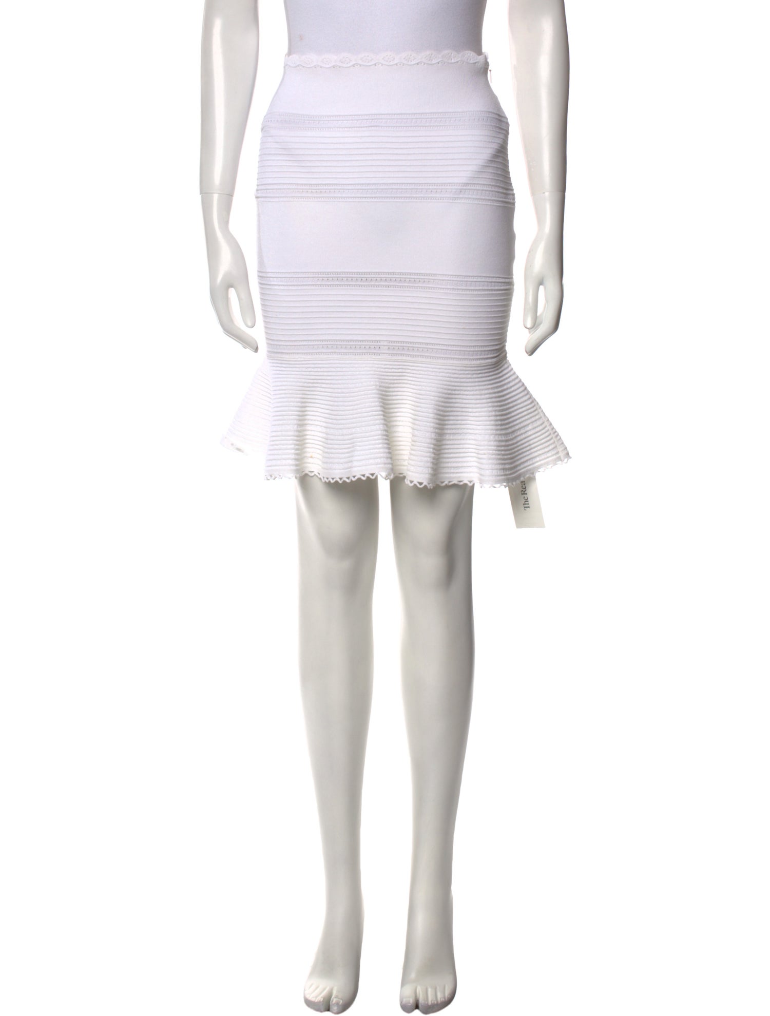 Alexander McQueen 2016 Knee-Length Skirt