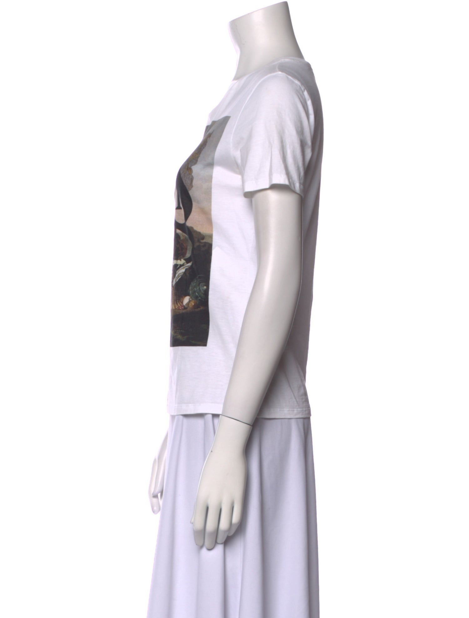 Alexander McQueen Graphic Print Crew Neck T-Shirt