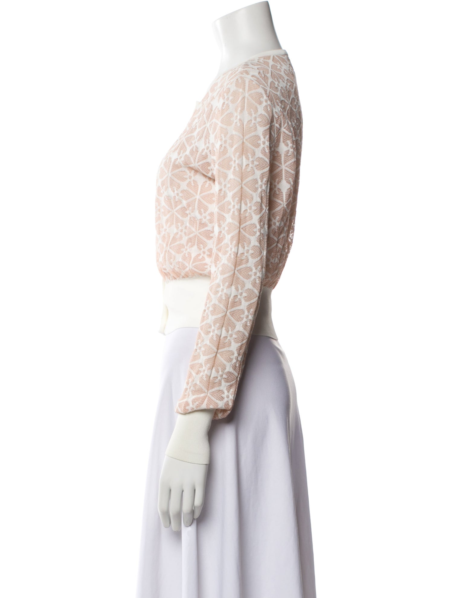 Alexander McQueen Printed Crew Neck Sweater