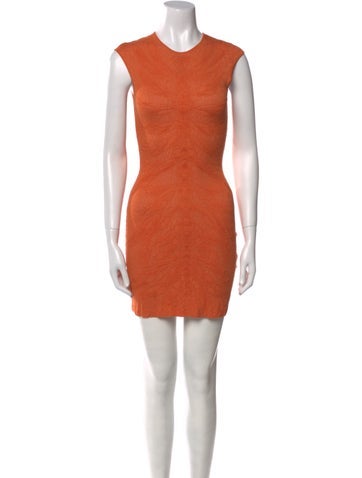 Alexander McQueen Dresses Crew Neck Mini Dress XS