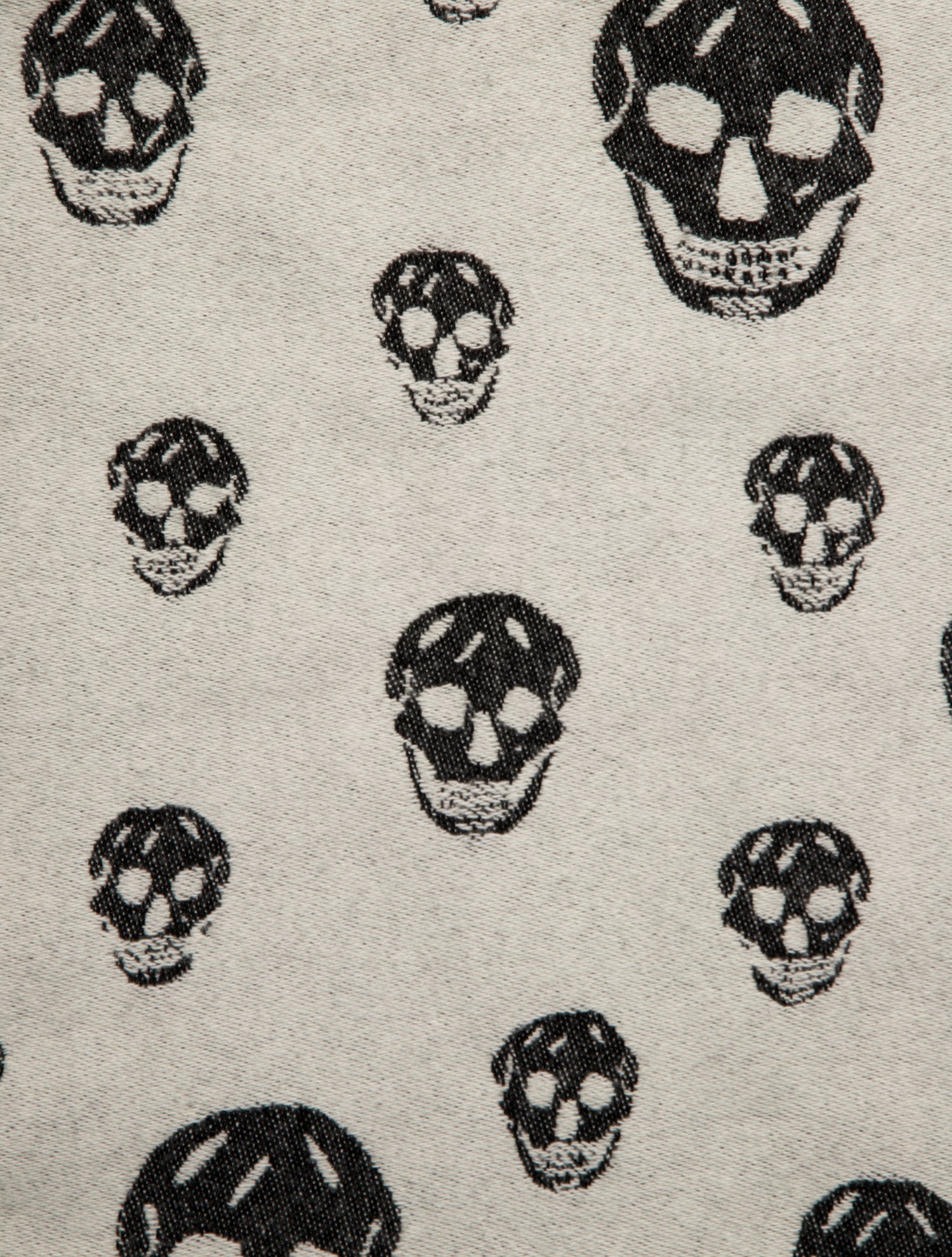 Alexander McQueen Skull Throw Blanket