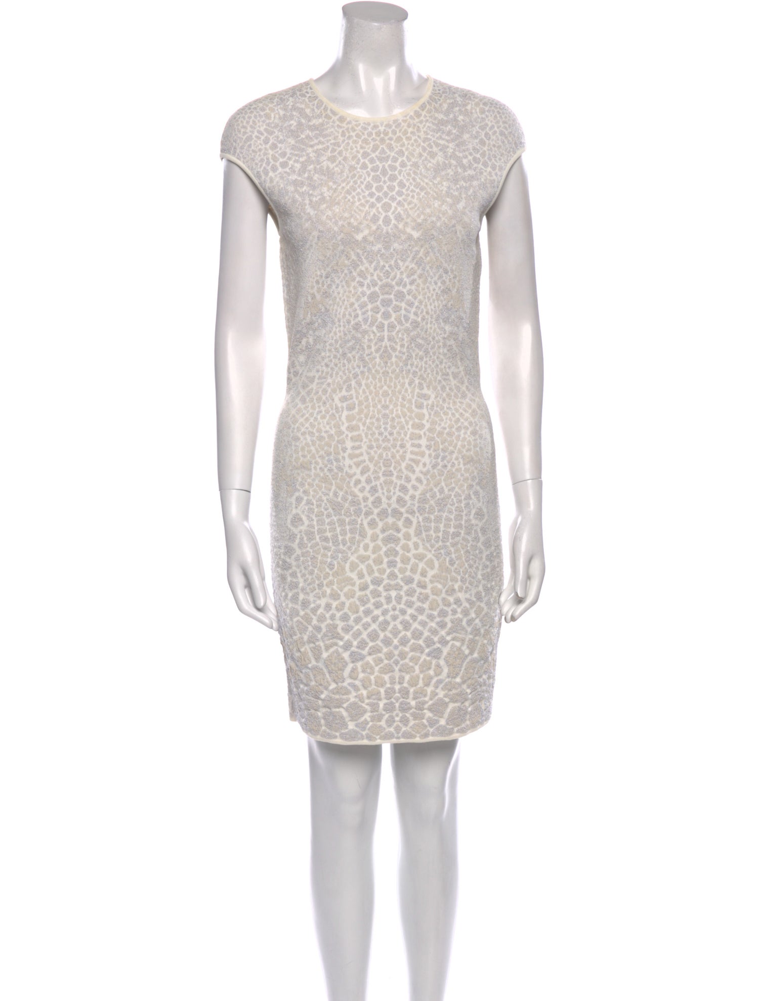 Alexander McQueen Crew Neck Mini Dress