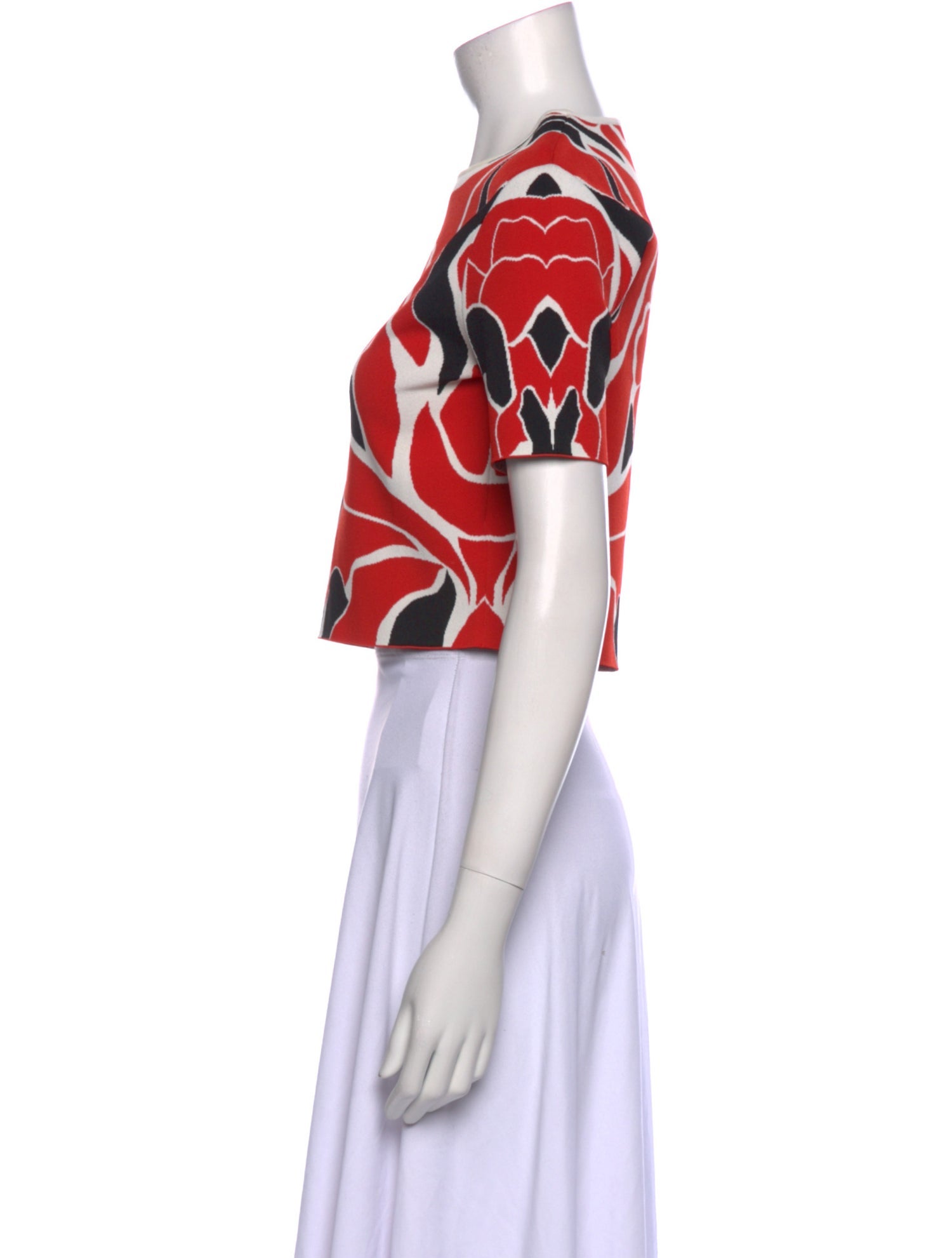 Alexander McQueen Printed Crew Neck Crop Top