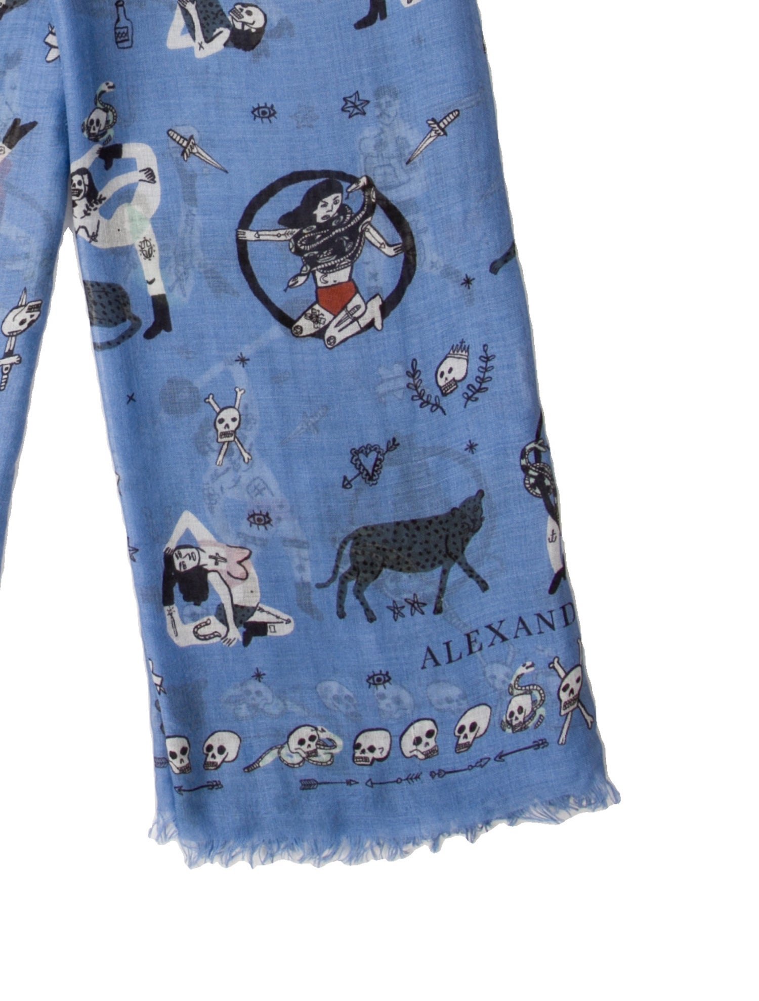 Alexander McQueen Skull Printed Scarf