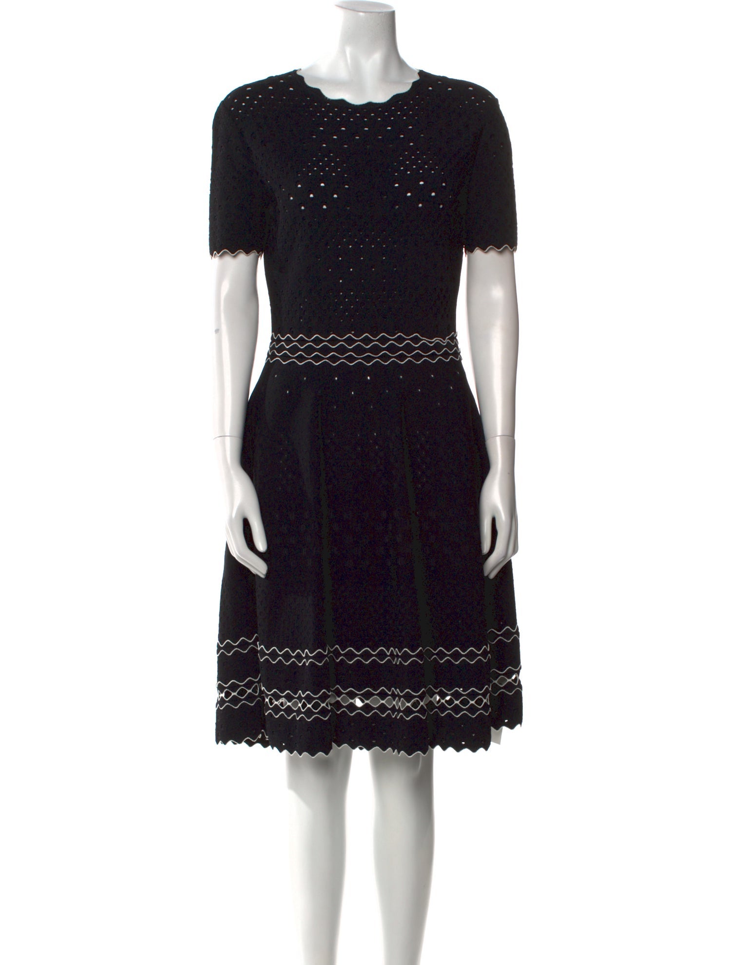 Alexander McQueen Printed Knee-Length Dress