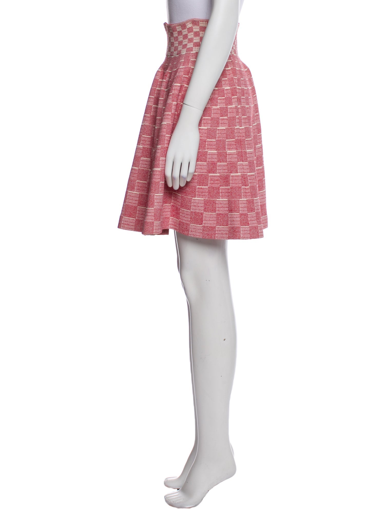 Alexander McQueen Printed Knee-Length Skirt