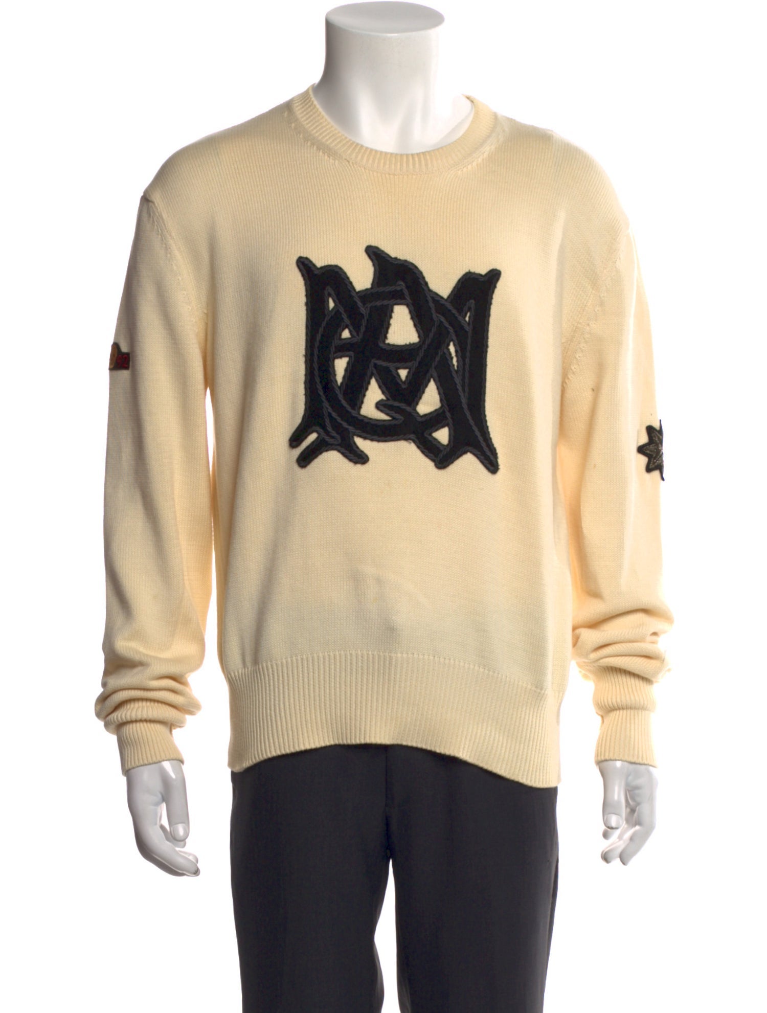 Alexander McQueen Skull Graphic Print Pullover