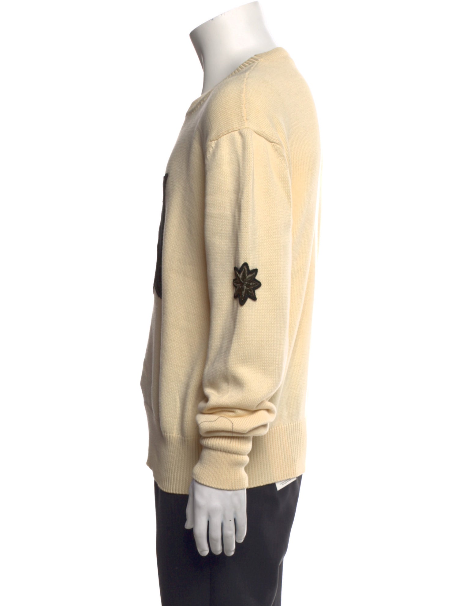 Alexander McQueen Skull Graphic Print Pullover