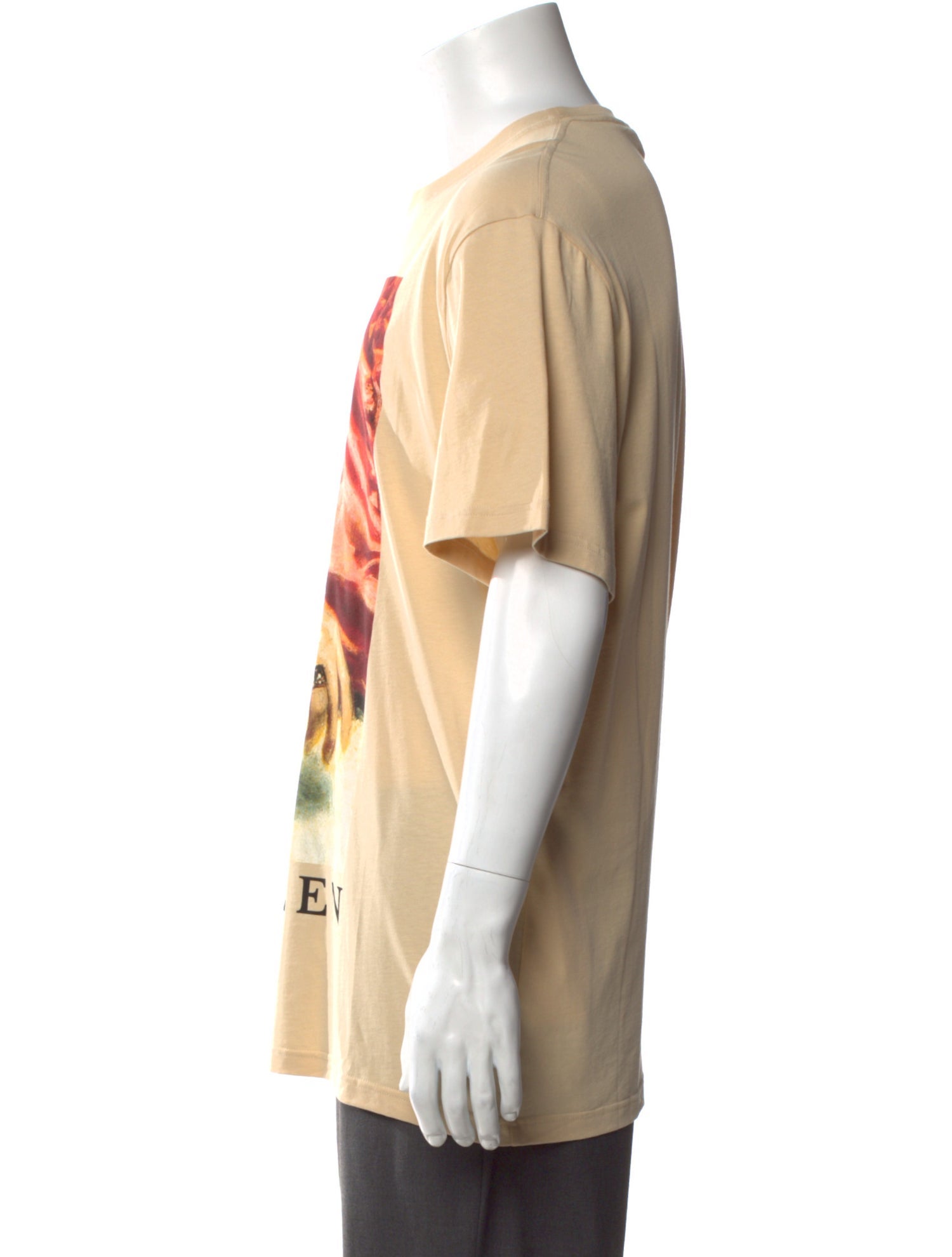 Alexander McQueen Graphic Print Crew Neck T-Shirt