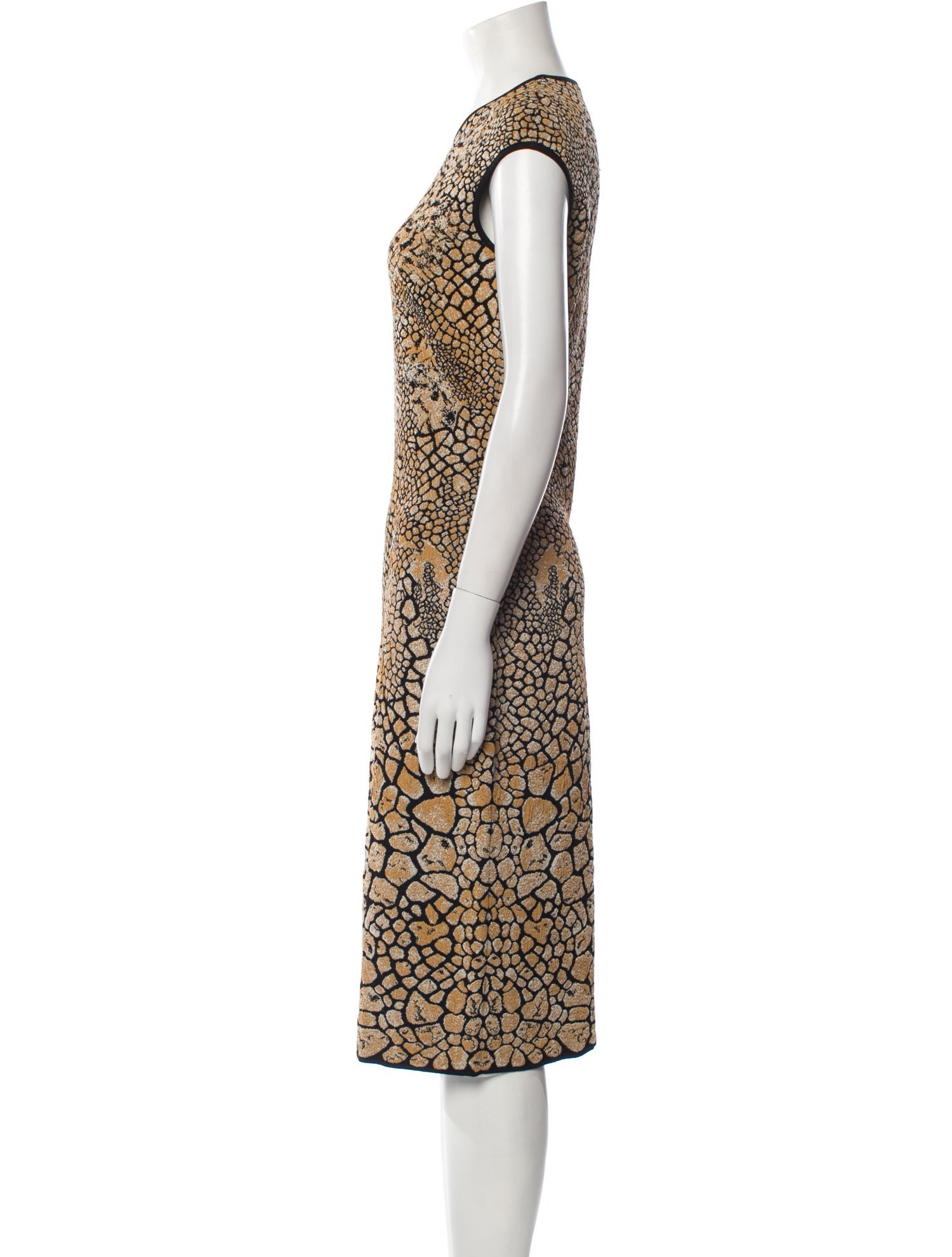 Alexander McQueen Animal Print Midi Length Dress