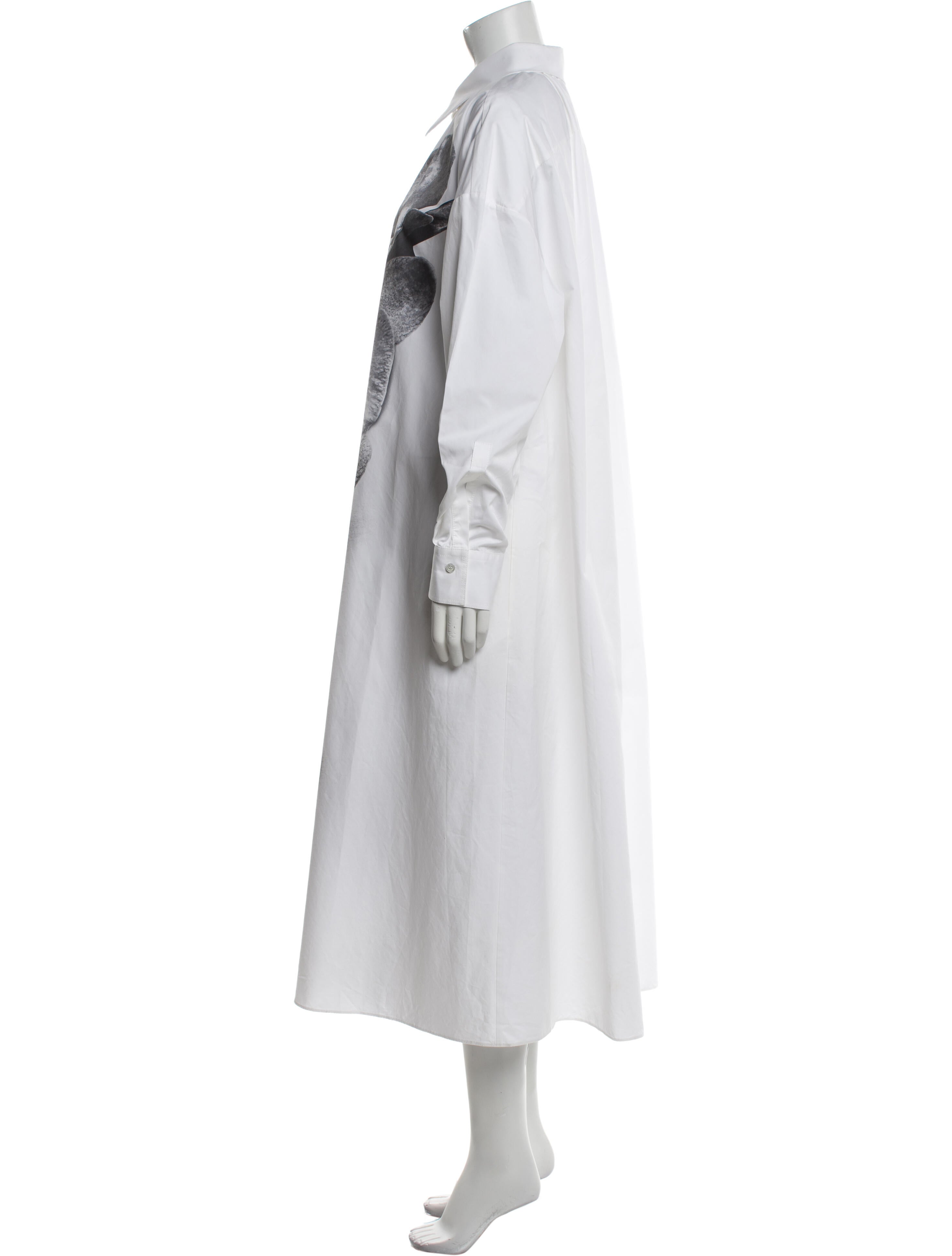 Alexander McQueen Long Dress