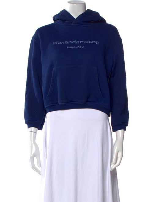 Alexander McQueen Graphic Print Crew Neck Sweatshirt