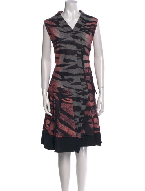Alexander McQueen Printed Midi Length Dress