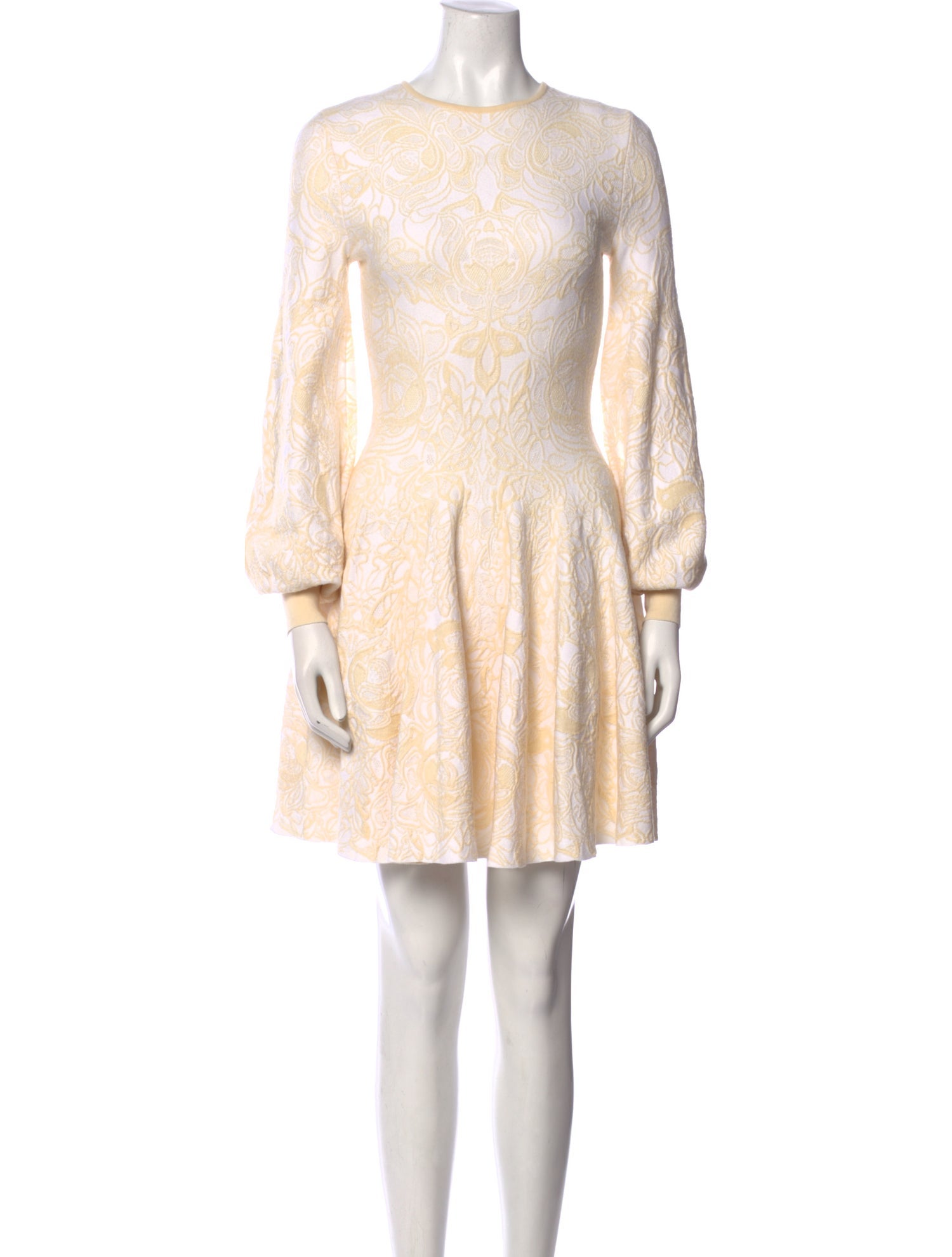 Alexander McQueen Crew Neck Mini Dress