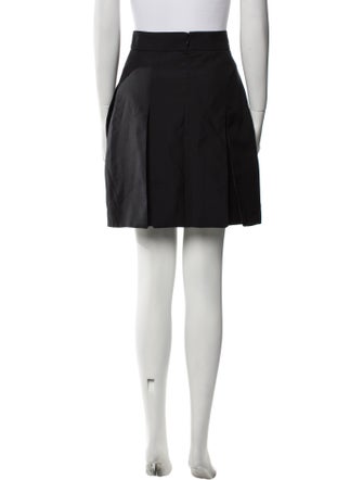 Alexander McQueen 2014 Mini Skirt