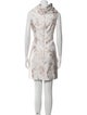 Alexander McQueen Printed Mini Dress