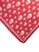 Alexander McQueen Silk Skull Scarf