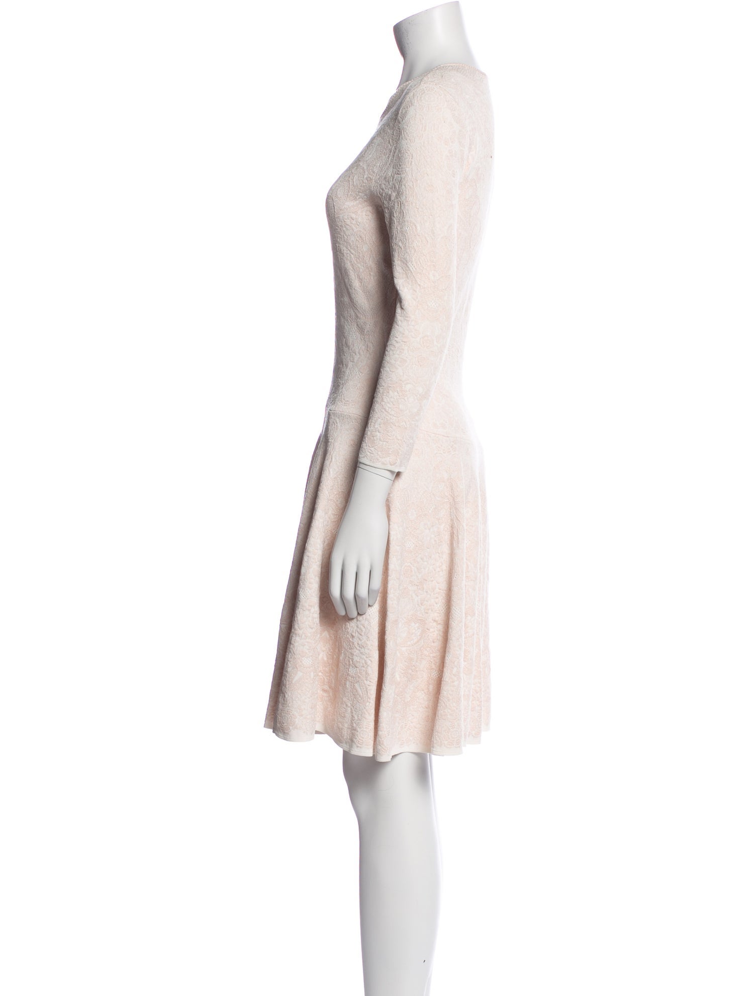 Alexander McQueen Crew Neck Mini Dress