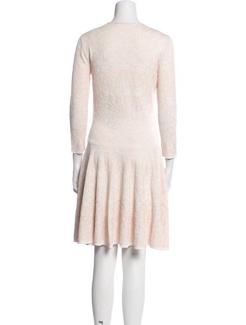 Alexander McQueen Crew Neck Mini Dress