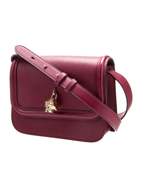 Alexander McQueen Skull Crossbody Bag
