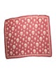 Alexander McQueen Silk Printed Scarf