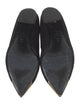 Alexander McQueen Suede Ballet Flats
