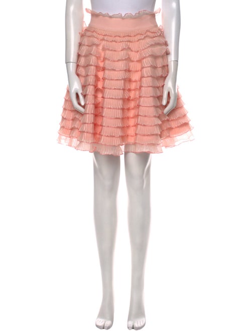 Alexander McQueen Ruffle Embellishment Knee-Length Skirt