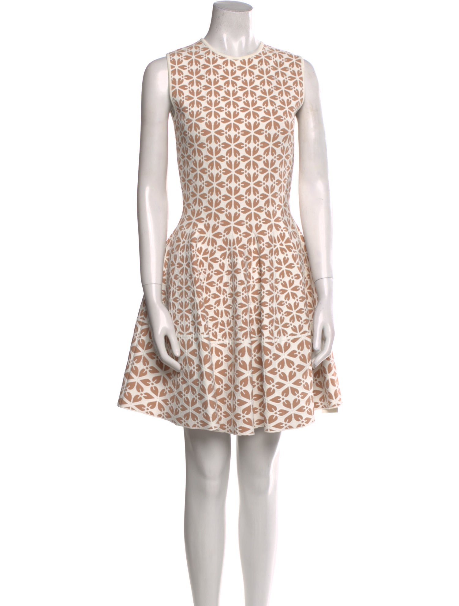 Alexander McQueen Printed Mini Dress